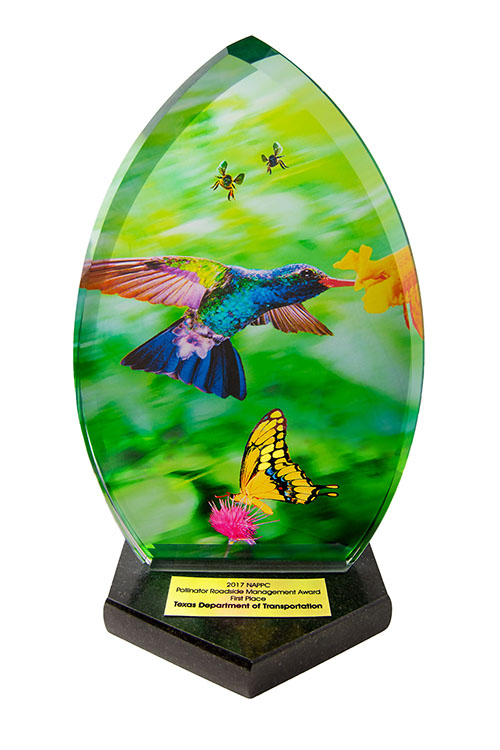 2017 NAPPC Award